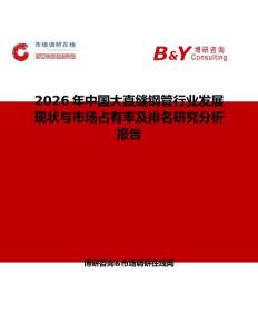 2026年中國大直縫鋼管行業(yè)發(fā)展現(xiàn)狀與市場占有率及排名研究分析報告