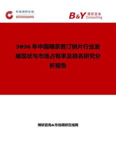 2026年中國噻奈普汀鈉片行業發展現狀與市場占有率及排名研究分析報告