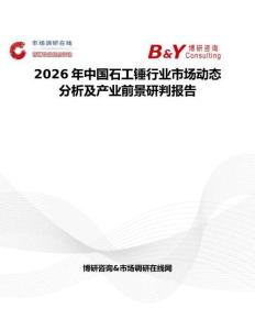2026年中國石工錘行業(yè)市場動態(tài)分析及產(chǎn)業(yè)前景研判報告