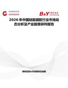 2026年中國硅酸凝膠行業市場動態分析及產業前景研判報告