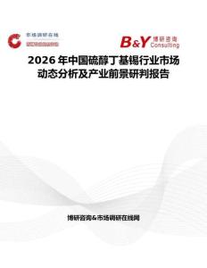 2026年中國硫醇丁基錫行業(yè)市場動態(tài)分析及產(chǎn)業(yè)前景研判報告