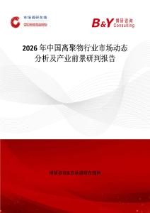 2026年中國離聚物行業市場動態分析及產業前景研判報告