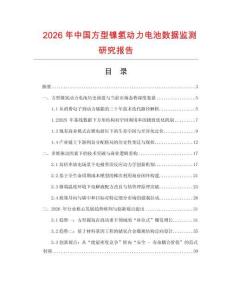 2026年中國方型鎳氫動力電池數據監測研究報告