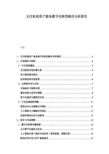 支付機構客戶服務數字化轉型路徑分析報告