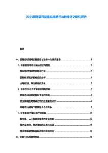 2025國際霸權戰(zhàn)略實施路徑與地緣外交研究報告