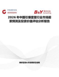 2026年中國引爆雷管行業市場前景預測及投資價值評估分析報告