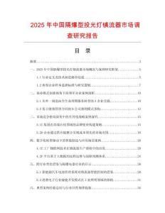 2025年中國隔爆型投光燈鎮流器市場調查研究報告