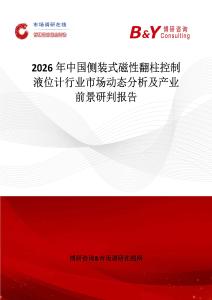 2026年中國側(cè)裝式磁性翻柱控制液位計行業(yè)市場動態(tài)分析及產(chǎn)業(yè)前景研判報告