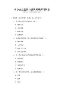 中小企業(yè)創(chuàng)新與發(fā)展策略探討試卷