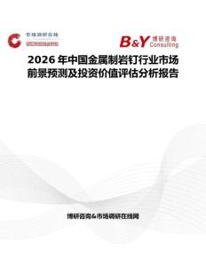 2026年中國金屬制巖釘行業市場前景預測及投資價值評估分析報告