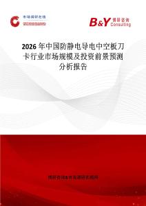 2026年中國防靜電導電中空板刀卡行業市場規模及投資前景預測分析報告
