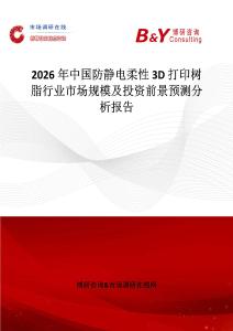 2026年中國防靜電柔性 3D 打印樹脂行業(yè)市場規(guī)模及投資前景預(yù)測分析報(bào)告