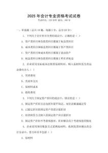 2025年會計專業(yè)資格考試試卷