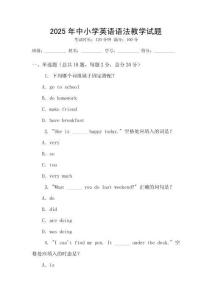 2025年中小學英語語法教學試題