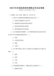 2025年全球能源結(jié)構(gòu)調(diào)整及考試及答案