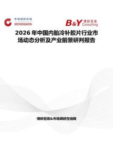 2026年中國內胎冷補膠片行業市場動態分析及產業前景研判報告