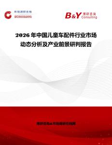 2026年中國兒童車配件行業市場動態分析及產業前景研判報告