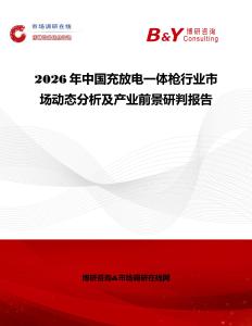 2026年中國充放電一體槍行業(yè)市場動態(tài)分析及產業(yè)前景研判報告