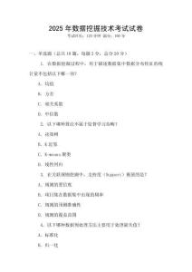 2025年數據挖掘技術考試試卷