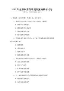 2025年能源利用效率提升策略解析試卷