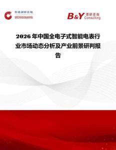2026年中國全電子式智能電表行業市場動態分析及產業前景研判報告