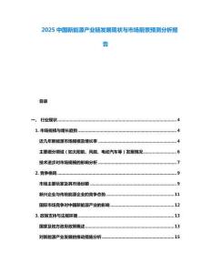 2025中國(guó)新能源產(chǎn)業(yè)鏈發(fā)展現(xiàn)狀與市場(chǎng)前景預(yù)測(cè)分析報(bào)告