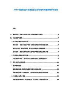 2025中國傳統(tǒng)文化基金會(huì)活化利用與傳播策略分析報(bào)告