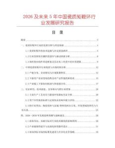 2026及未來5年中國瓷質矩鞍環(huán)行業(yè)發(fā)展研究報告