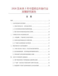 2026及未來5年中國(guó)軟邊車胎行業(yè)發(fā)展研究報(bào)告