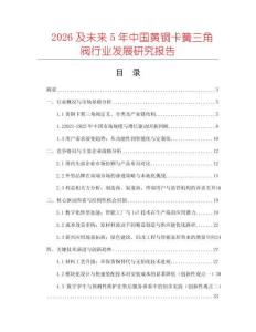 2026及未來(lái)5年中國(guó)黃銅卡簧三角閥行業(yè)發(fā)展研究報(bào)告