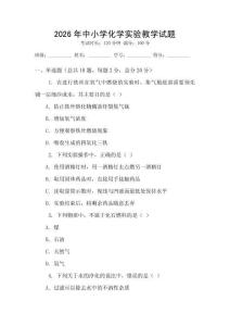 2026年中小學化學實驗教學試題
