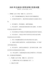 2025年注冊會計(jì)師考試審計(jì)實(shí)務(wù)試題