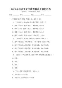 2026年中考語文閱讀理解考點解析試卷