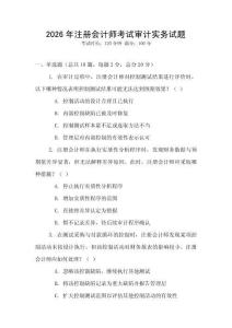 2026年注冊會計(jì)師考試審計(jì)實(shí)務(wù)試題