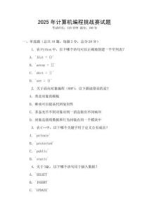 2025年計算機編程挑戰賽試題