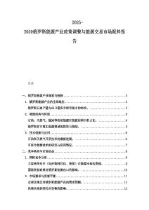 2025-2030俄羅斯能源產業政策調整與能源交易市場配料報告
