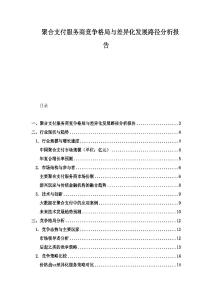 聚合支付服務商競爭格局與差異化發展路徑分析報告