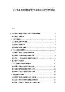 云計算服務商價格戰對中小企業上云影響調研報告