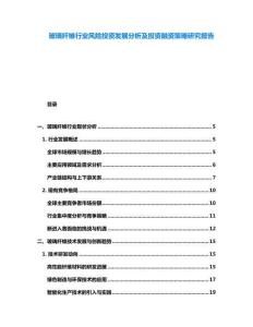 玻璃纖維行業(yè)風(fēng)險投資發(fā)展分析及投資融資策略研究報告