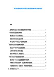 東南亞物流服務(wù)創(chuàng)新與跨境電商發(fā)展研究報告