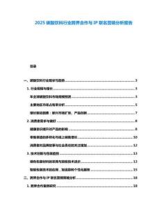 2025碳酸飲料行業(yè)跨界合作與IP聯(lián)名營銷分析報告
