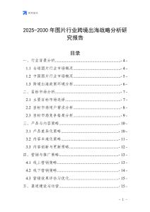 2025-2030年圖片行業跨境出海戰略分析研究報告