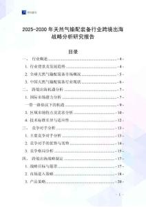 2025-2030年天然氣輸配裝備行業跨境出海戰略分析研究報告