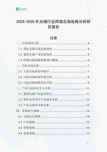 2025-2030年光儲(chǔ)行業(yè)跨境出海戰(zhàn)略分析研究報(bào)告
