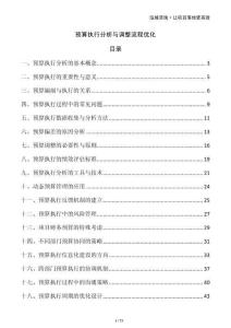 預(yù)算執(zhí)行分析與調(diào)整流程優(yōu)化