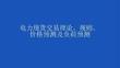 電力現(xiàn)貨交易理論、規(guī)則、價(jià)格預(yù)測(cè)及負(fù)荷預(yù)測(cè)