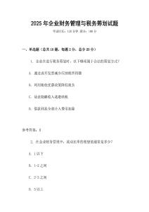 2025年企業(yè)財務(wù)管理與稅務(wù)籌劃試題