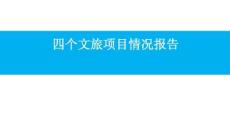 房地產(chǎn)調(diào)研 -四個文旅項目情況報告-成都 資陽 佛山 南充