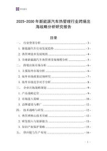 2025-2030年新能源汽車熱管理行業(yè)跨境出海戰(zhàn)略分析研究報告