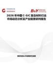 2026年中國(guó)C-SiC復(fù)合材料行業(yè)市場(chǎng)動(dòng)態(tài)分析及產(chǎn)業(yè)前景研判報(bào)告